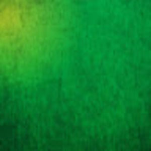 Meet your Posher, Ian